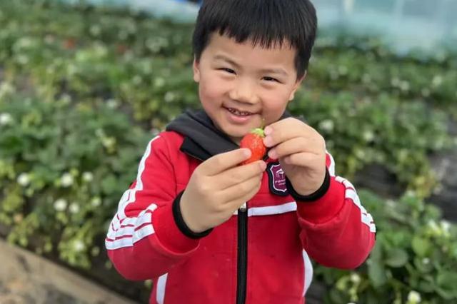 郑州高新区冯特幼儿园自然研学之旅