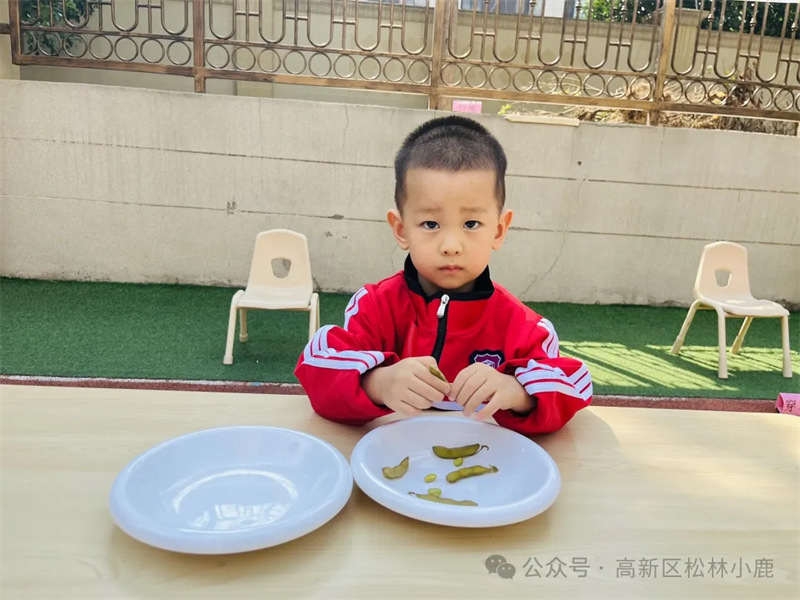 郑州市高新区松林小鹿幼儿园“慧”自理“悦”成长自理能力大赛