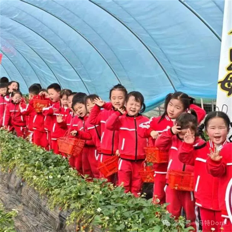 郑州高新区冯特幼儿园自然研学之旅