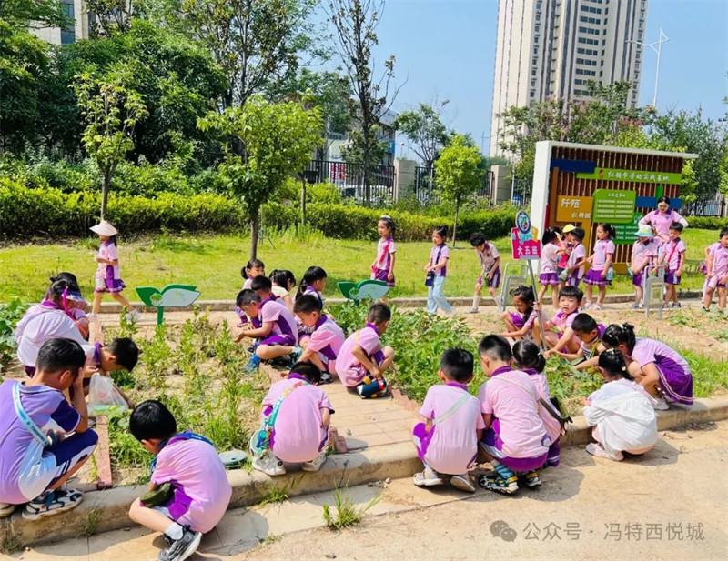 冯特西悦城幼儿园参观小学主题活动