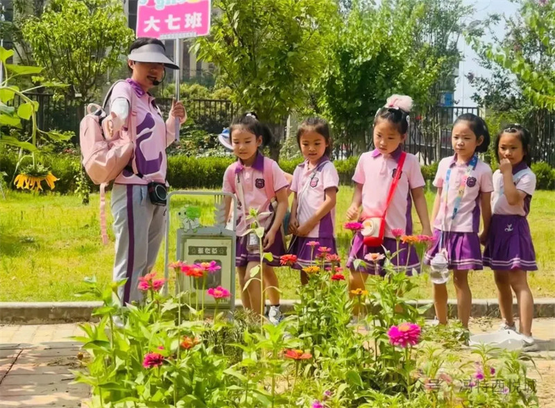 冯特西悦城幼儿园参观小学主题活动